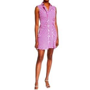 Derek Lam 10 Crosby Satina Gingham Shirt Dress in Pink